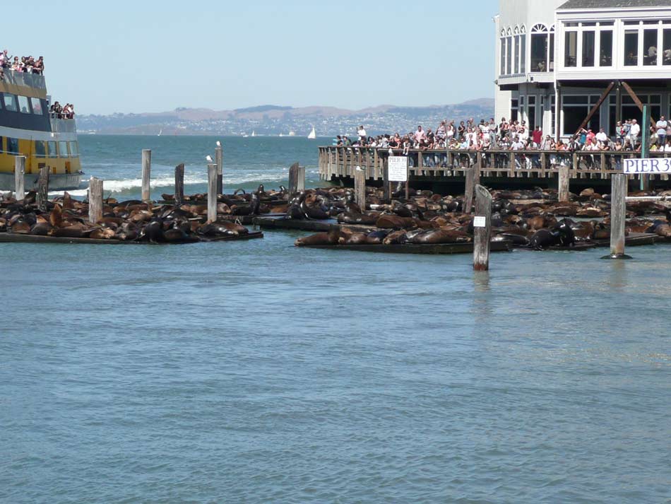 La Californie San francisco